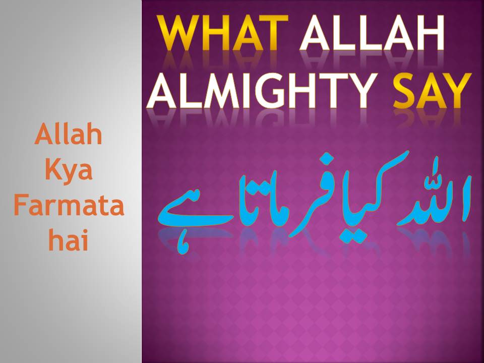 You are currently viewing What does Almighty Allah say in the Quran